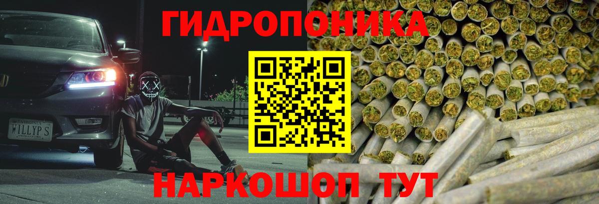 Бошки Шишки гибрид  Вход с VPN  МАРИХУАНА ГИДРОПОН  Светлоград  Бошки марихуана индика 